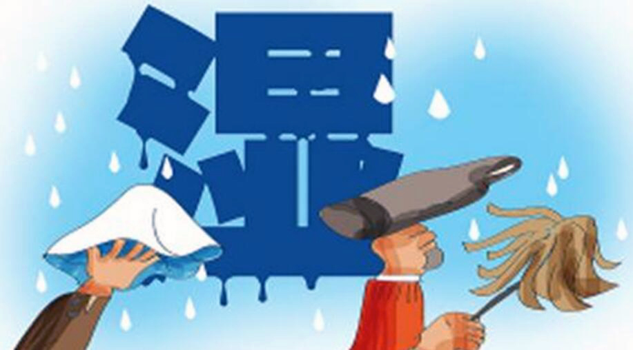 除濕機的原理！回南天潮濕天氣怎樣，回南天防潮攻略？